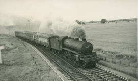 11 August 1954