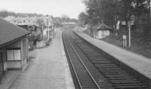 5 May 1954