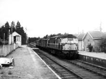 D5307 at Dinnet with the penultimate freight from Ballater on 13 July 1966,
