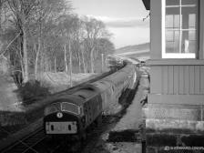 As the 3.55 Abdn-Elgin passes Kinaldie the 2nd man shades his eyes a few seconds before 