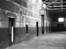 Macduff awaits a new role with a ship's supply company