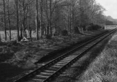 Pictures of the Halt when open have not (yet?) been uncovered, as it was taken out of use in 1932