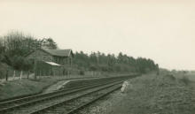 Looking East, towards Murtle, 5 May 1954