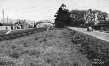 Featured in GNSRA Virtual Summer Outing 17/6/21