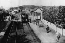 Featured in GNSRA Virtual Summer Outing 17/6/21